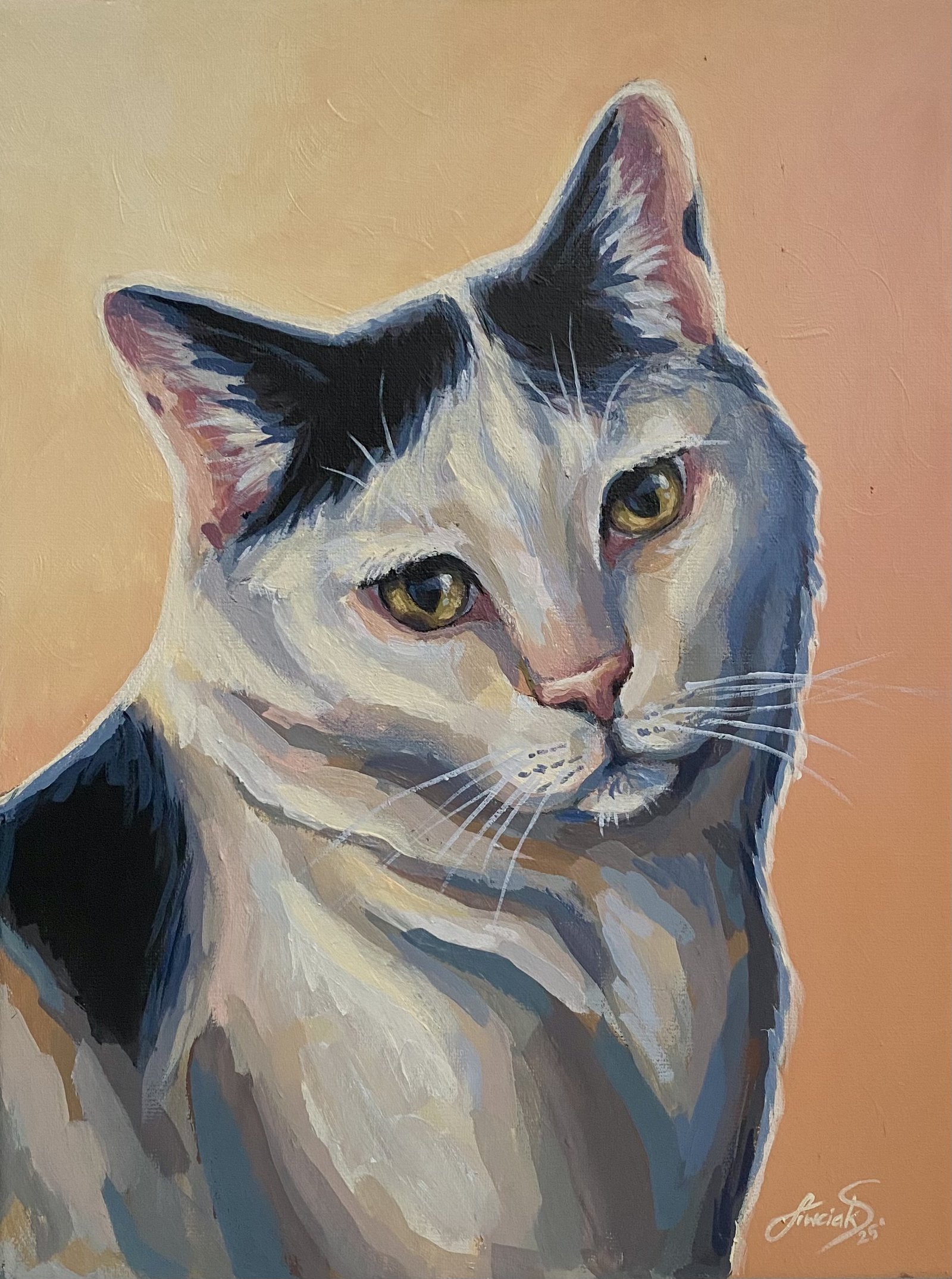 Kitek